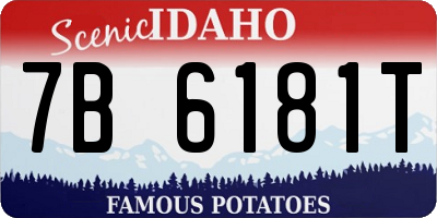 ID license plate 7B6181T