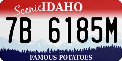 ID license plate 7B6185M