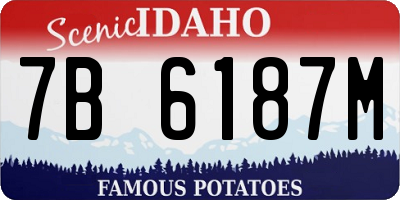 ID license plate 7B6187M