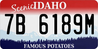 ID license plate 7B6189M