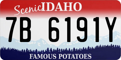 ID license plate 7B6191Y