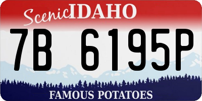 ID license plate 7B6195P