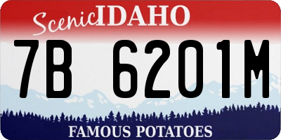 ID license plate 7B6201M