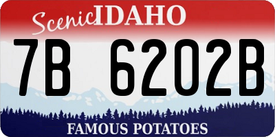 ID license plate 7B6202B