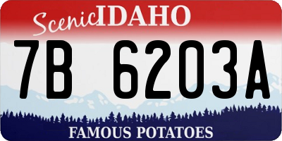 ID license plate 7B6203A