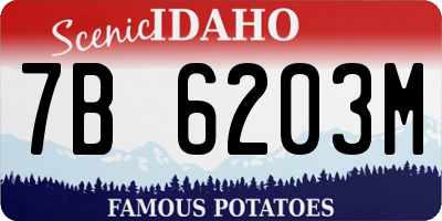 ID license plate 7B6203M