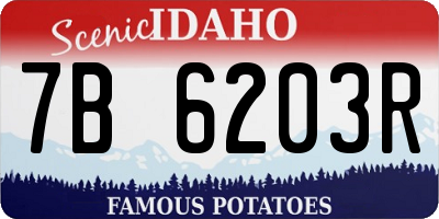 ID license plate 7B6203R