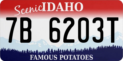 ID license plate 7B6203T