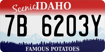 ID license plate 7B6203Y