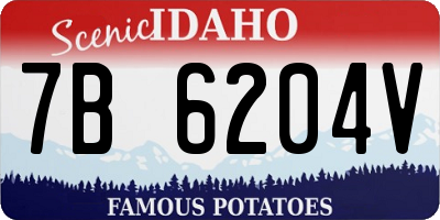ID license plate 7B6204V