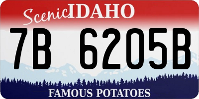 ID license plate 7B6205B