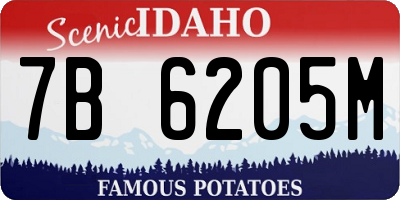 ID license plate 7B6205M