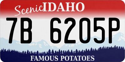 ID license plate 7B6205P