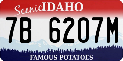 ID license plate 7B6207M