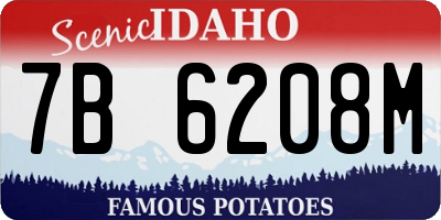 ID license plate 7B6208M
