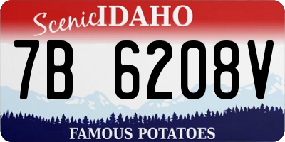 ID license plate 7B6208V