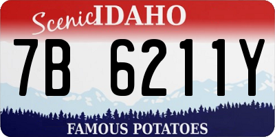ID license plate 7B6211Y