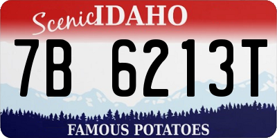 ID license plate 7B6213T