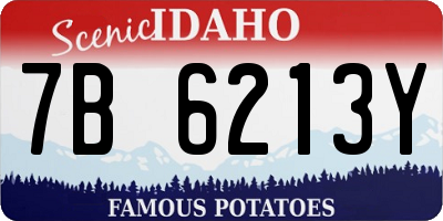 ID license plate 7B6213Y