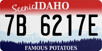 ID license plate 7B6217E