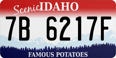 ID license plate 7B6217F
