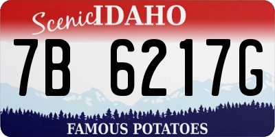 ID license plate 7B6217G