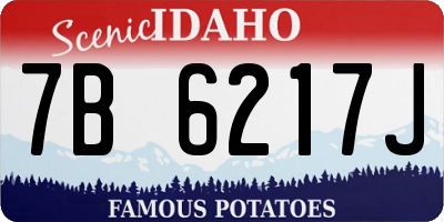 ID license plate 7B6217J