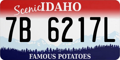 ID license plate 7B6217L