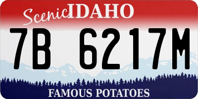 ID license plate 7B6217M