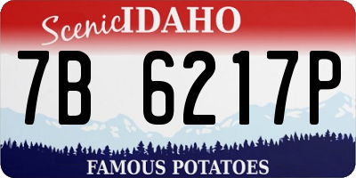 ID license plate 7B6217P
