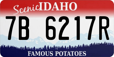 ID license plate 7B6217R