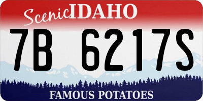 ID license plate 7B6217S