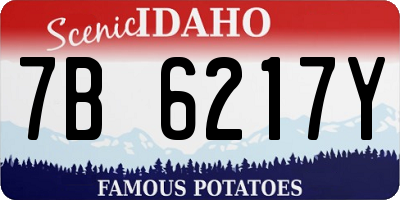 ID license plate 7B6217Y