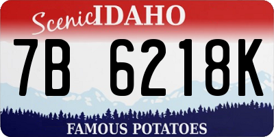 ID license plate 7B6218K