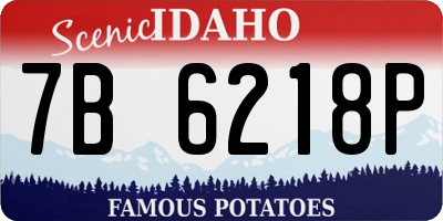 ID license plate 7B6218P