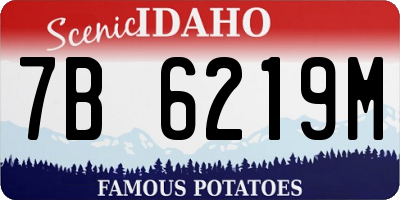 ID license plate 7B6219M