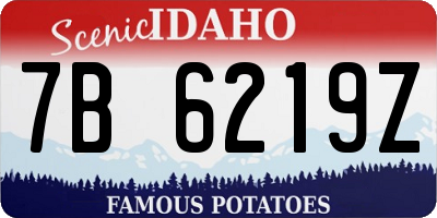 ID license plate 7B6219Z