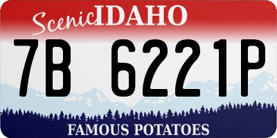ID license plate 7B6221P