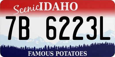 ID license plate 7B6223L