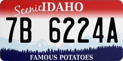 ID license plate 7B6224A