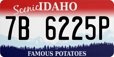ID license plate 7B6225P
