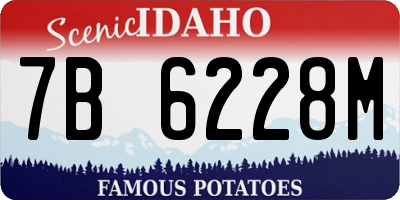 ID license plate 7B6228M