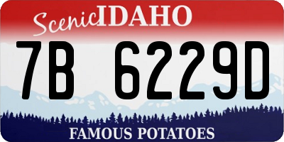 ID license plate 7B6229D
