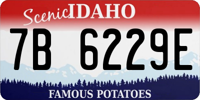 ID license plate 7B6229E