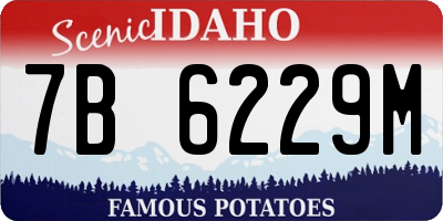 ID license plate 7B6229M