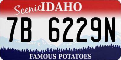 ID license plate 7B6229N
