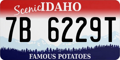 ID license plate 7B6229T