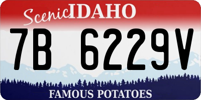 ID license plate 7B6229V