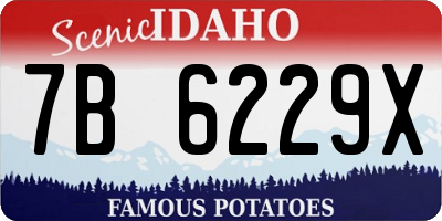 ID license plate 7B6229X