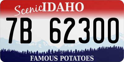 ID license plate 7B6230O